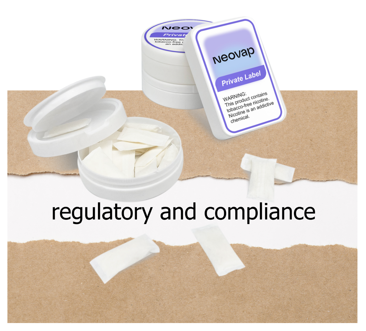 Regulatory Requirements for Nicotine Pouches